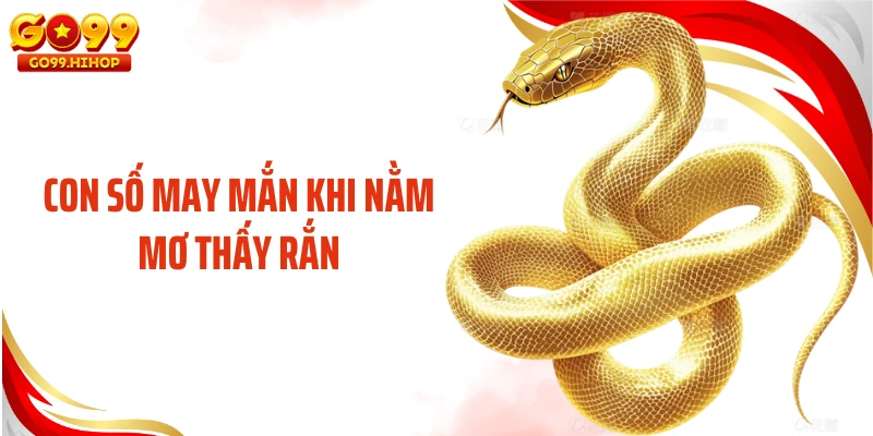 Con số may mắn khi nằm mơ thấy rắn