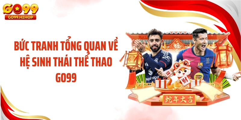Bức tranh tổng quan về hệ sinh thái thể thao GO99