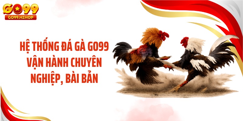 Hệ thống đá gà GO99 vận hành chuyên nghiệp, bài bản